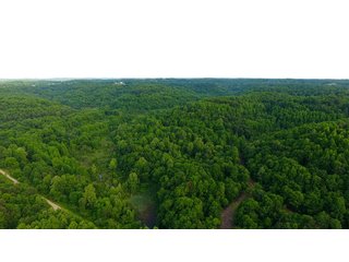 Property photo 69 - LAND AUCTION - 1,050+/- ACRES OFFERED IN 21 TRACTS PLUS 450+/- ACRE HUNTING LEASE IN MUSKINGUM COUNTY, OHIO